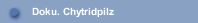 Doku. Chytridpilz